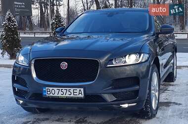 Внедорожник / Кроссовер Jaguar F-Pace 2016 в Тернополе