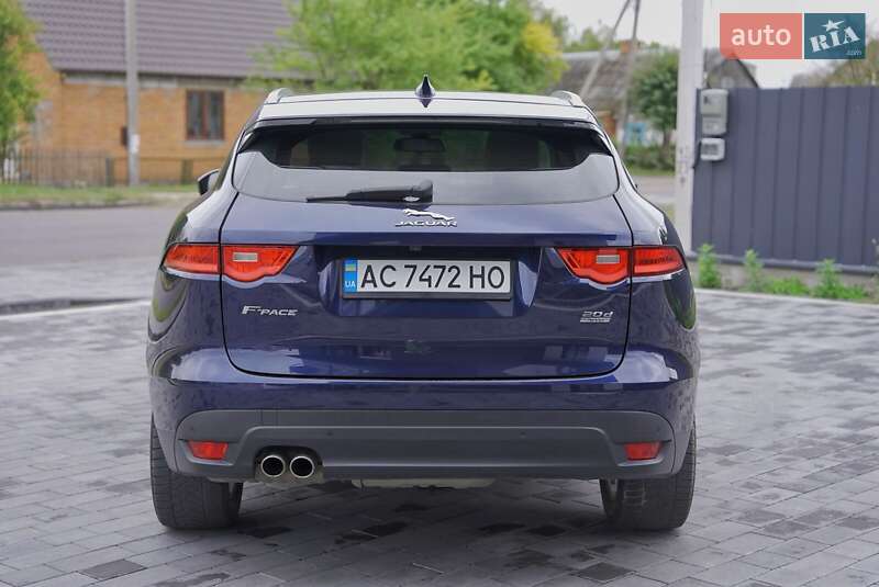Позашляховик / Кросовер Jaguar F-Pace 2016 в Любомлі