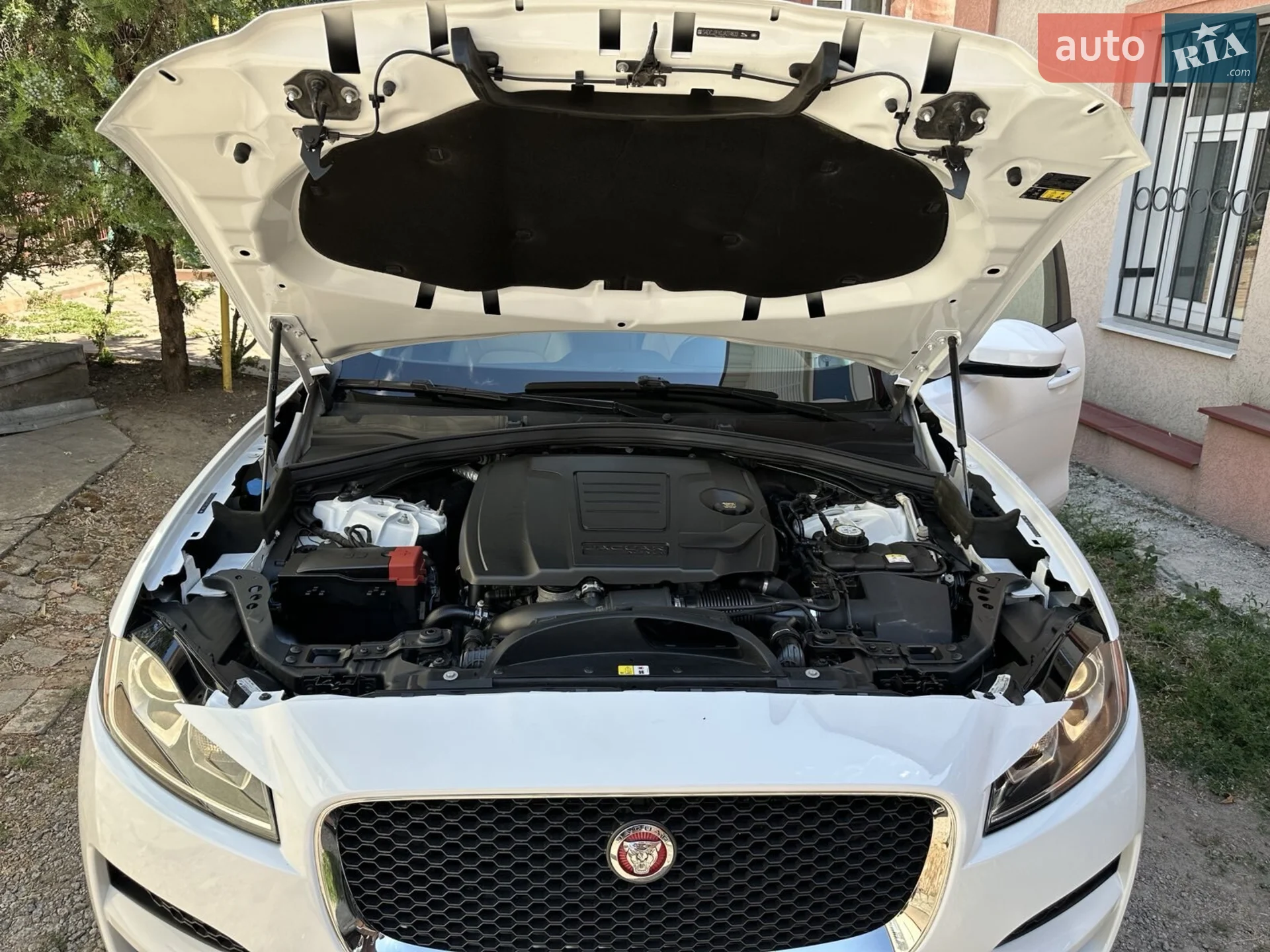 Jaguar F-Pace 2017 VIN SADCJ2FX0JA274633 фото оголошення 6 з 20