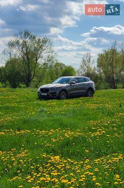 Позашляховик / Кросовер Jaguar F-Pace 2016 в Києві