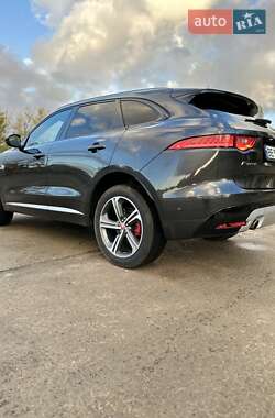 Внедорожник / Кроссовер Jaguar F-Pace 2018 в Южноукраинске фото 16 Внедорожник / Кроссовер Jaguar F-Pace 2018 в Южноукраинске