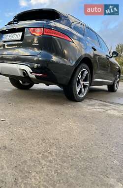 Внедорожник / Кроссовер Jaguar F-Pace 2018 в Южноукраинске фото 21 Внедорожник / Кроссовер Jaguar F-Pace 2018 в Южноукраинске