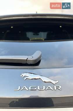 Внедорожник / Кроссовер Jaguar F-Pace 2018 в Южноукраинске фото 72 Внедорожник / Кроссовер Jaguar F-Pace 2018 в Южноукраинске