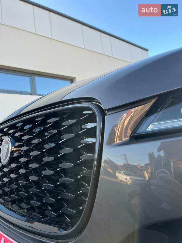 Внедорожник / Кроссовер Jaguar F-Pace 2023 в Ужгороде