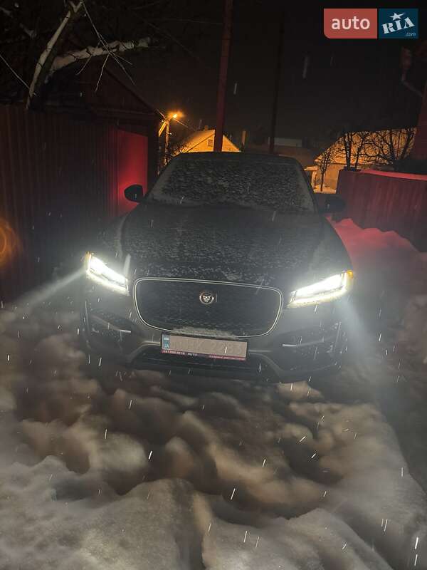 Внедорожник / Кроссовер Jaguar F-Pace 2017 в Киеве фото 23 Внедорожник / Кроссовер Jaguar F-Pace 2017 в Киеве