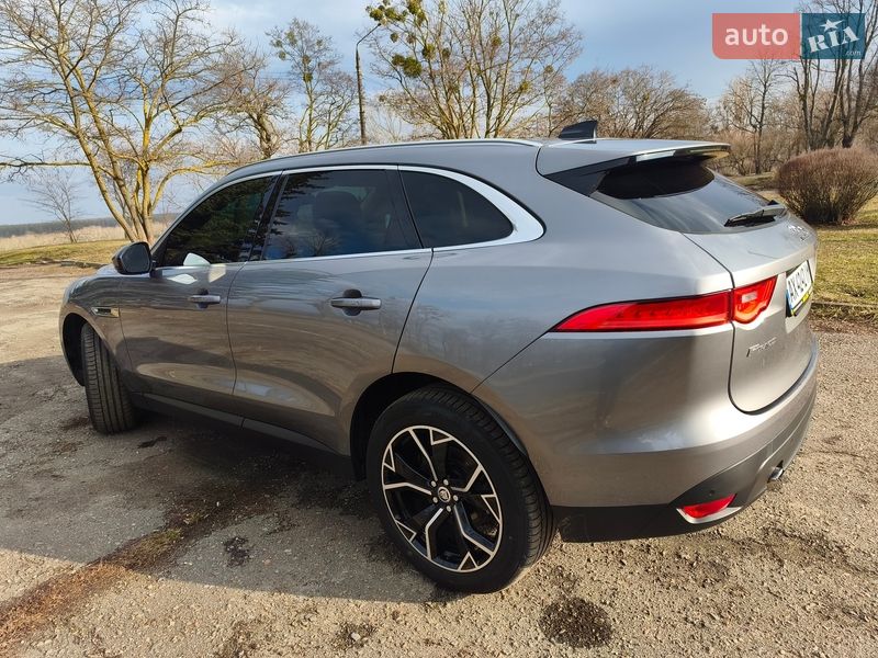 Внедорожник / Кроссовер Jaguar F-Pace 2019 в Чугуеве