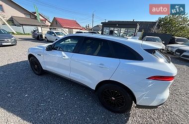 Внедорожник / Кроссовер Jaguar F-Pace 2017 в Хмельницком