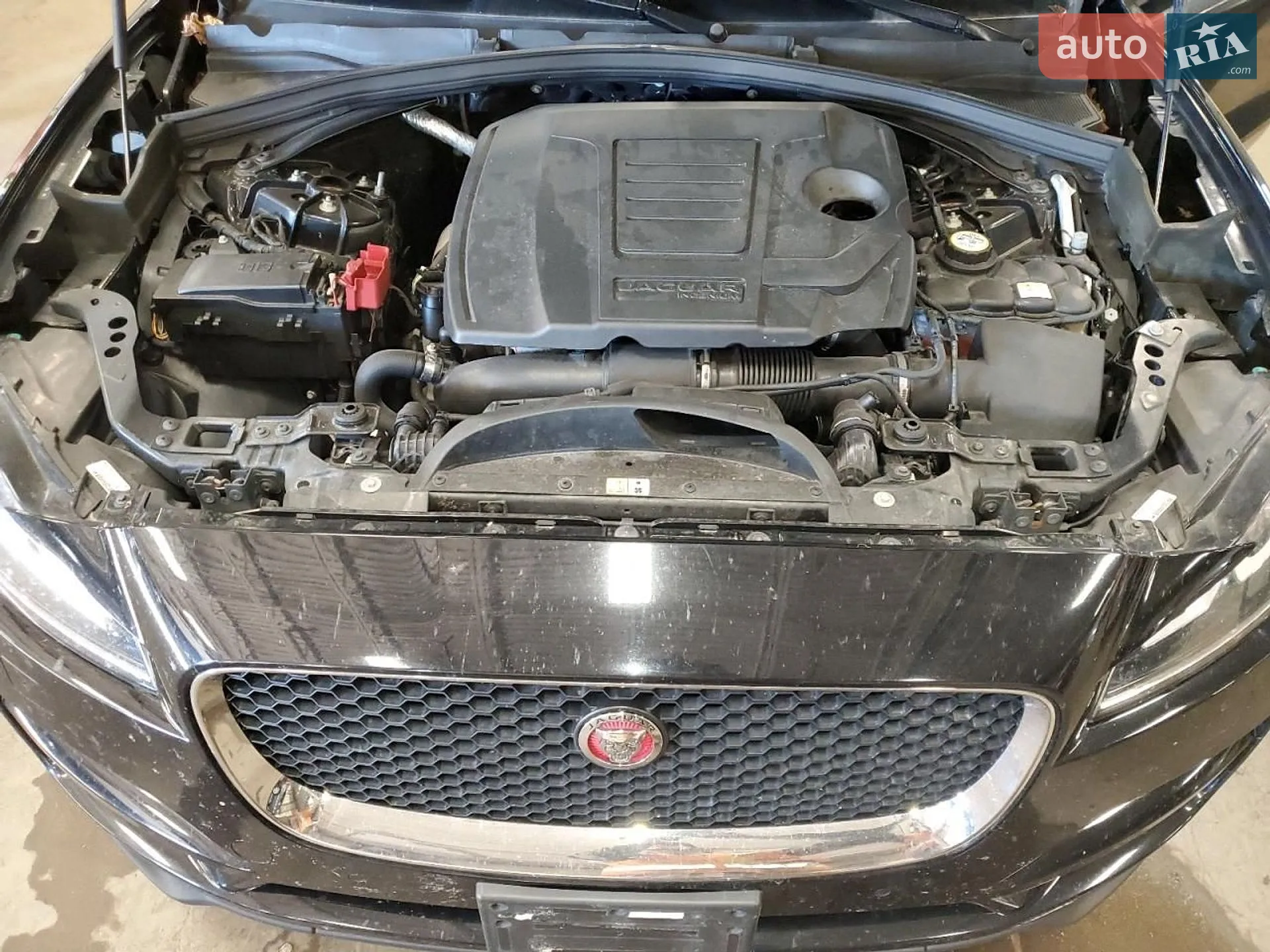 2018 Jaguar F-Pace - мініатюра 3