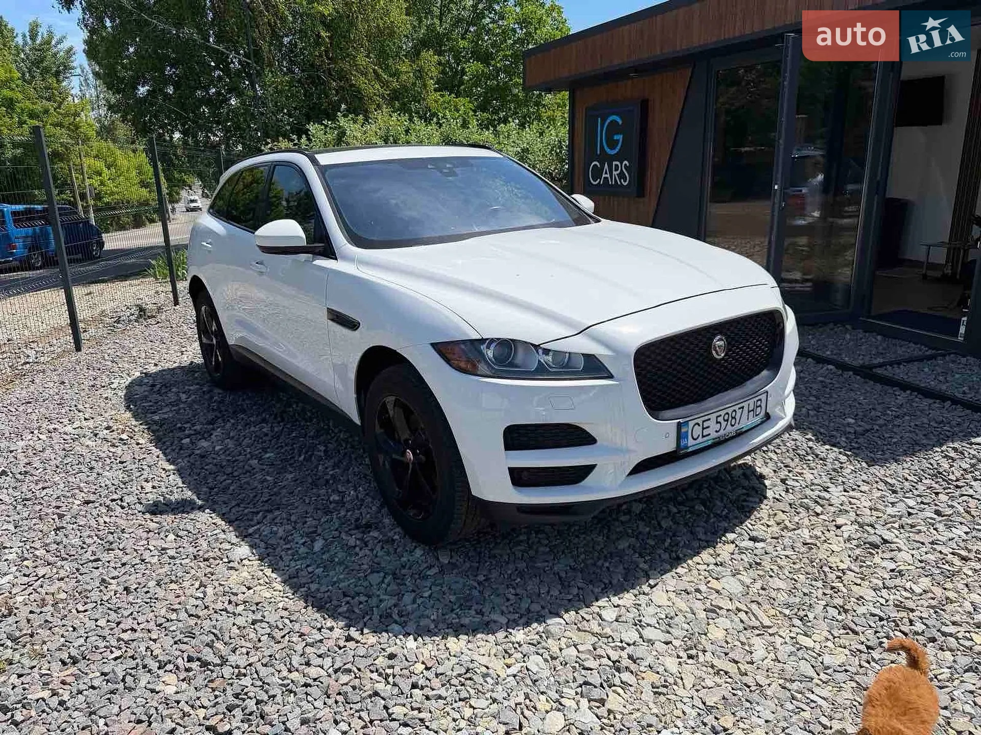 2017 Jaguar F-Pace - фото 1