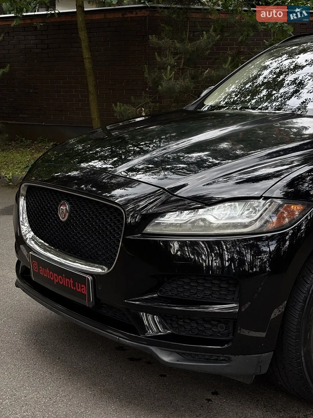 2016 Jaguar F-Pace - мініатюра 4