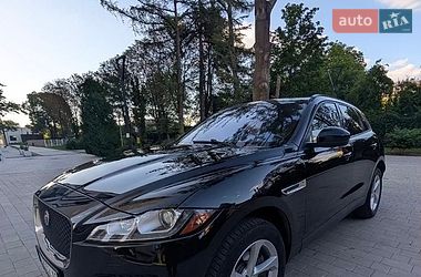 Позашляховик / Кросовер Jaguar F-Pace 2017 в Івано-Франківську