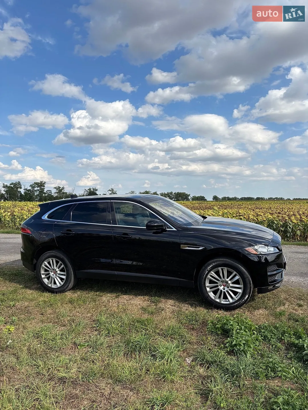 2019 Jaguar F-Pace - фото 1
