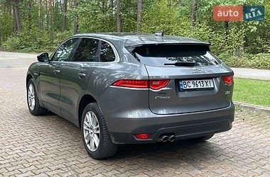Внедорожник / Кроссовер Jaguar F-Pace 2016 в Новояворовске фото 5 Внедорожник / Кроссовер Jaguar F-Pace 2016 в Новояворовске