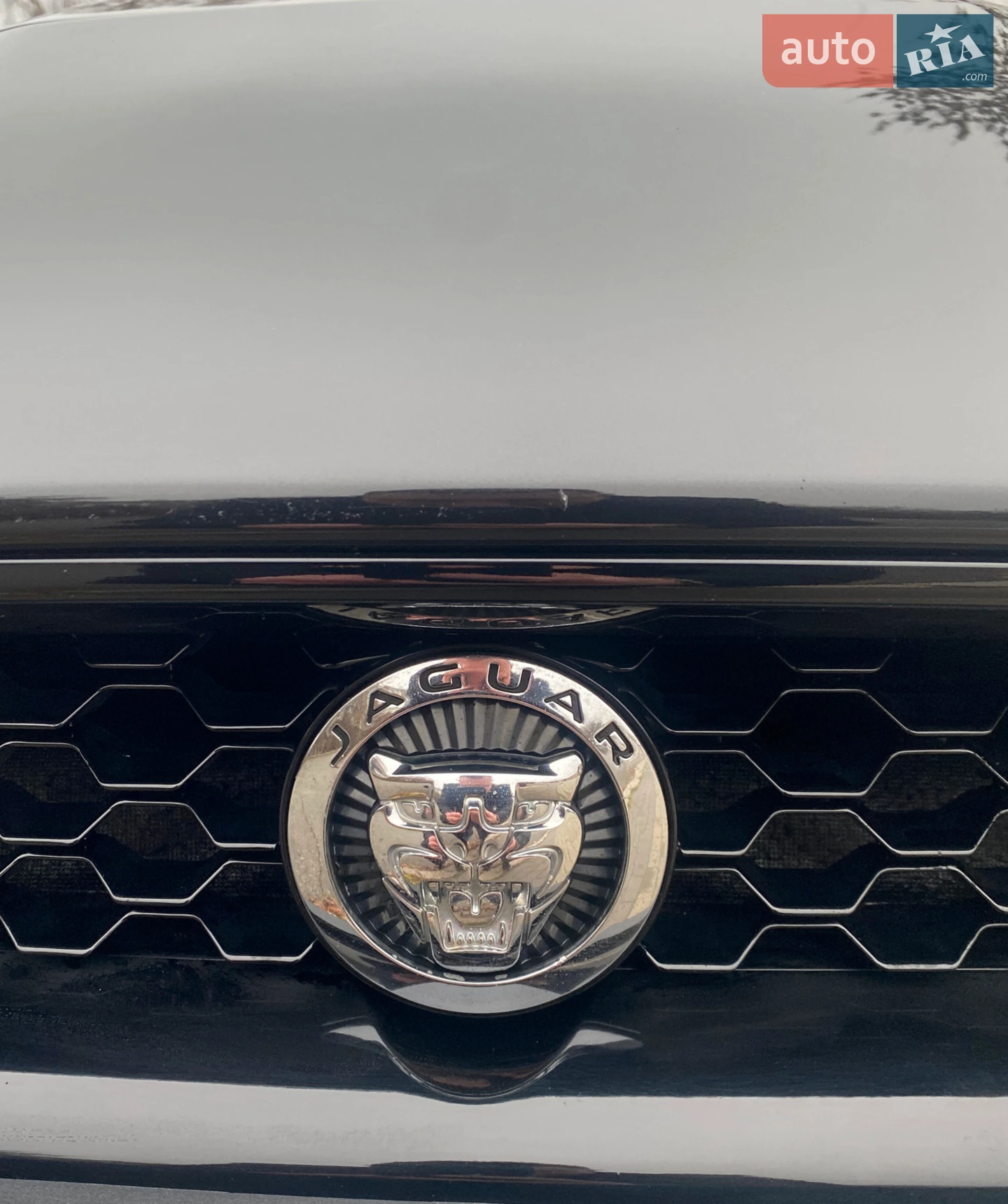 2015 Jaguar F-Type - мініатюра 18