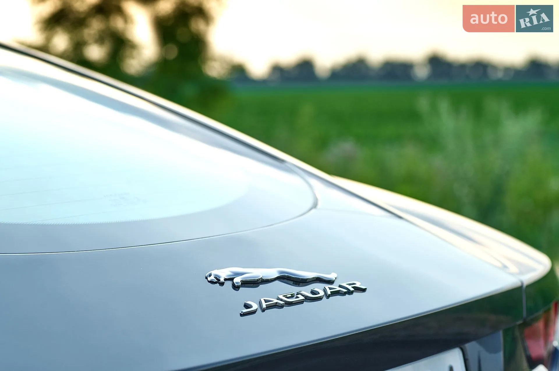 2019 Jaguar F-Type - мініатюра 20