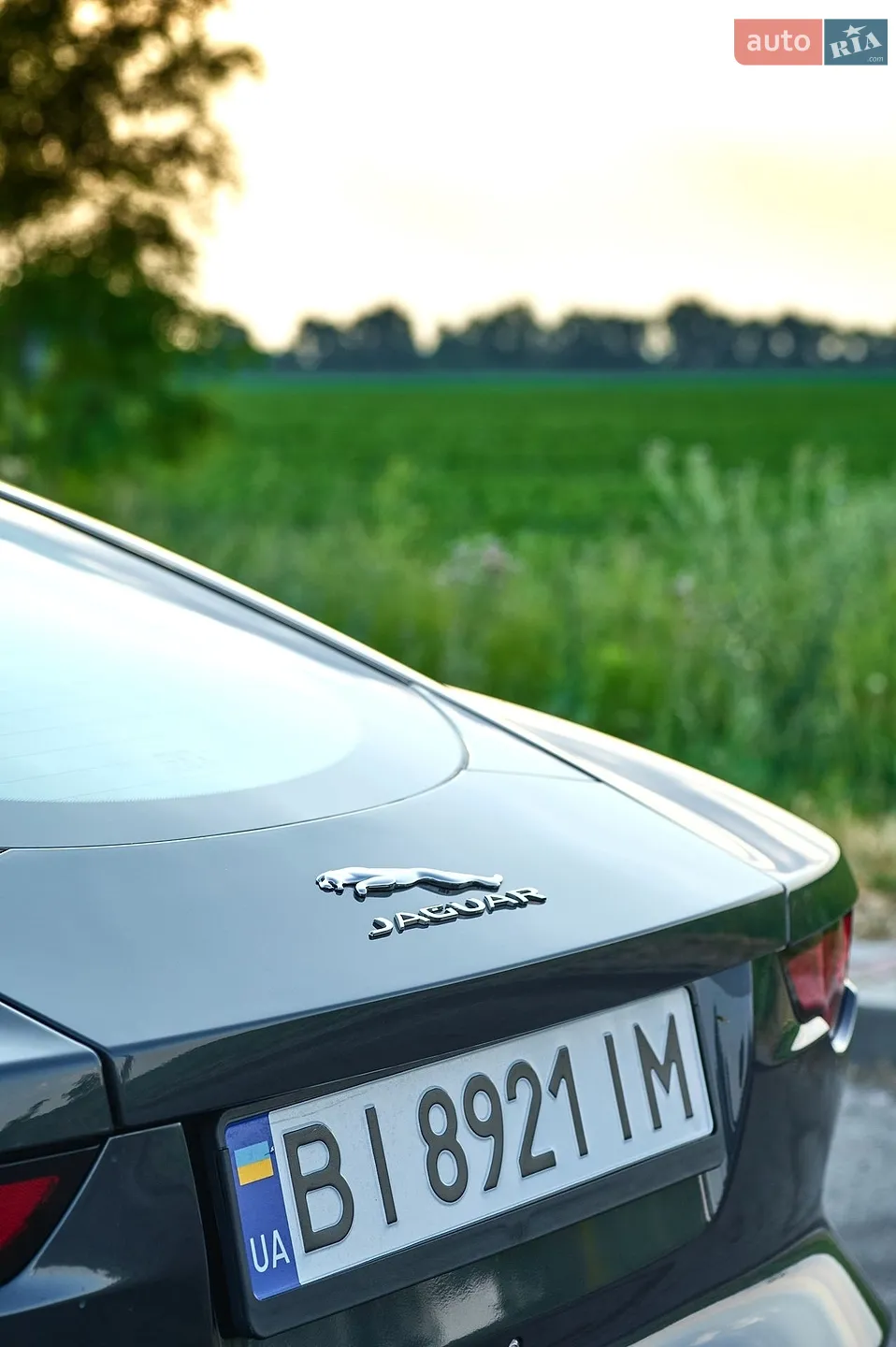 2019 Jaguar F-Type - мініатюра 21