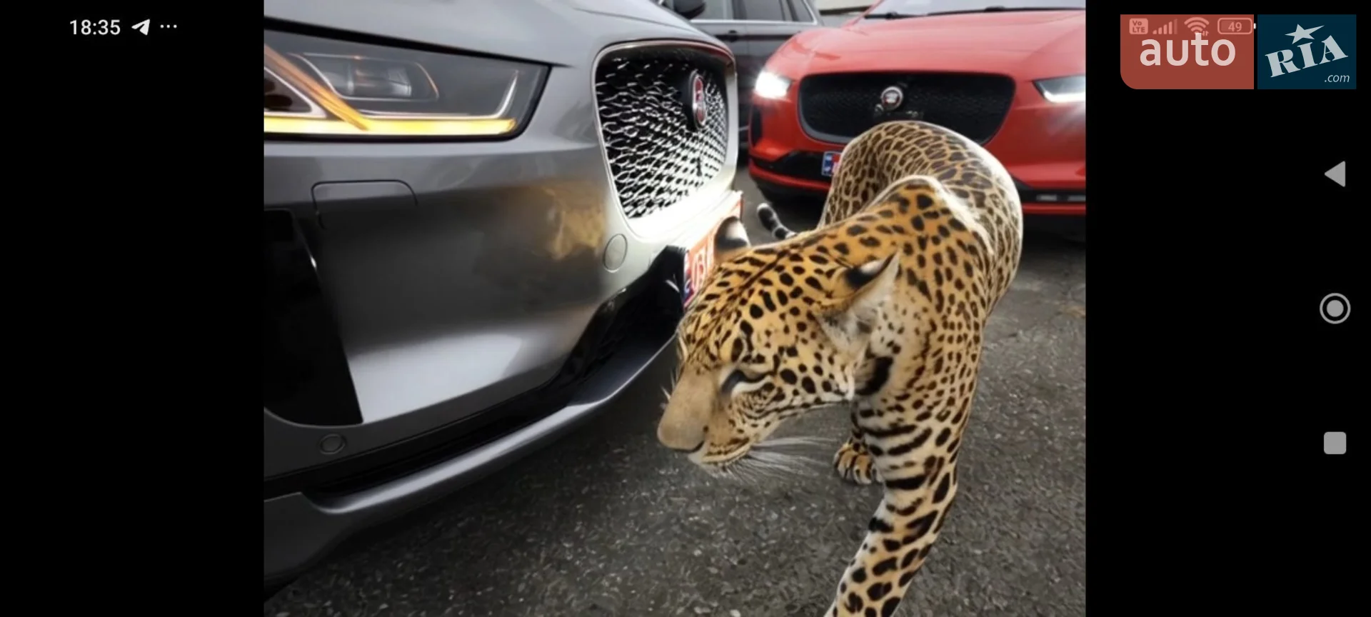 2021 Jaguar I-Pace - мініатюра 17