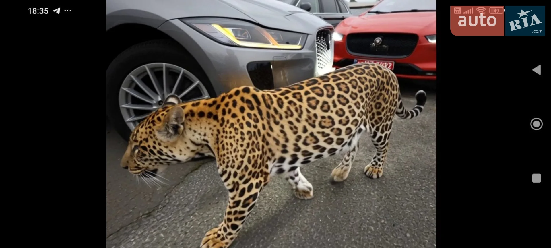 2021 Jaguar I-Pace - мініатюра 18