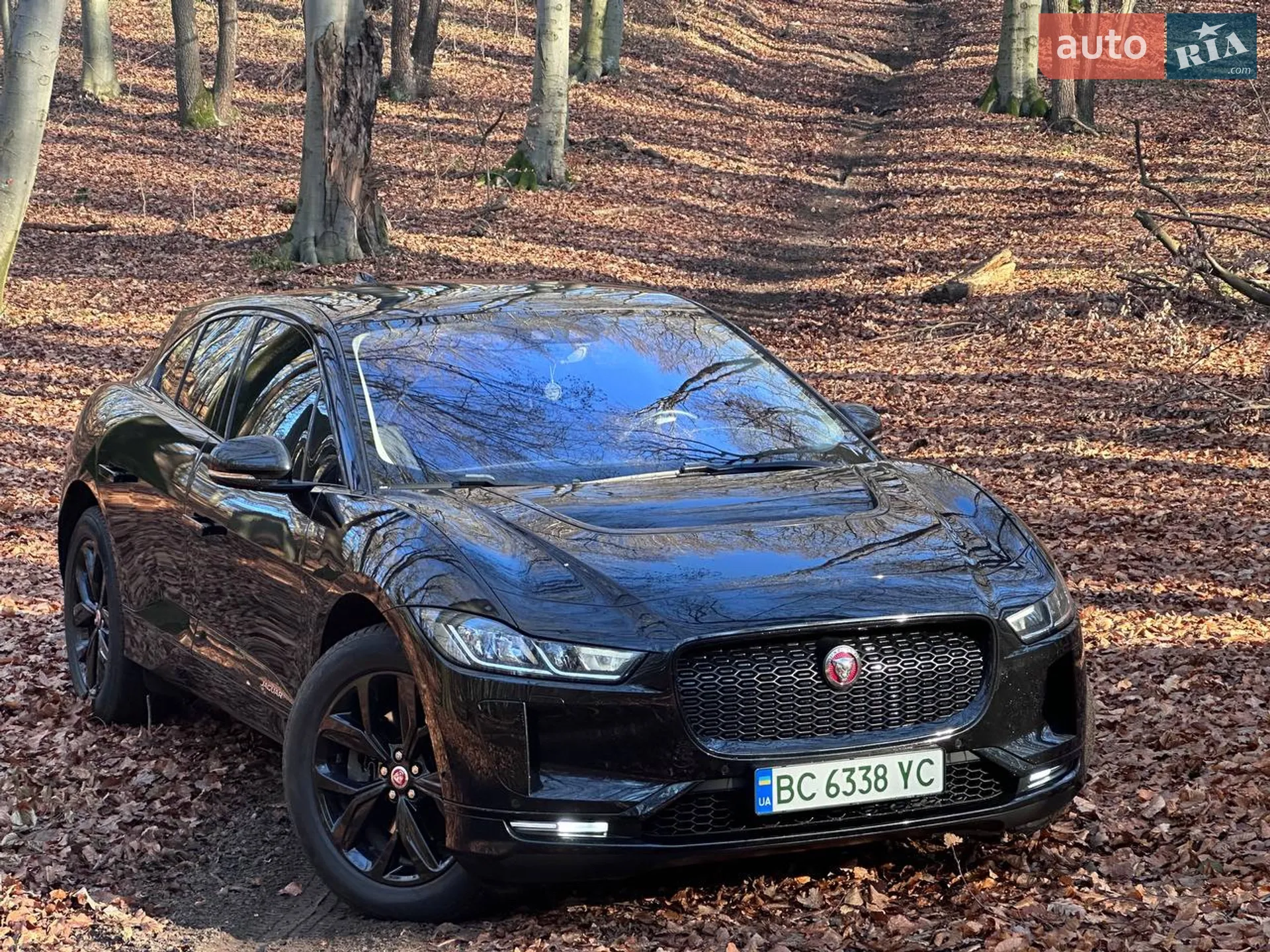 2019 Jaguar I-Pace - мініатюра 4