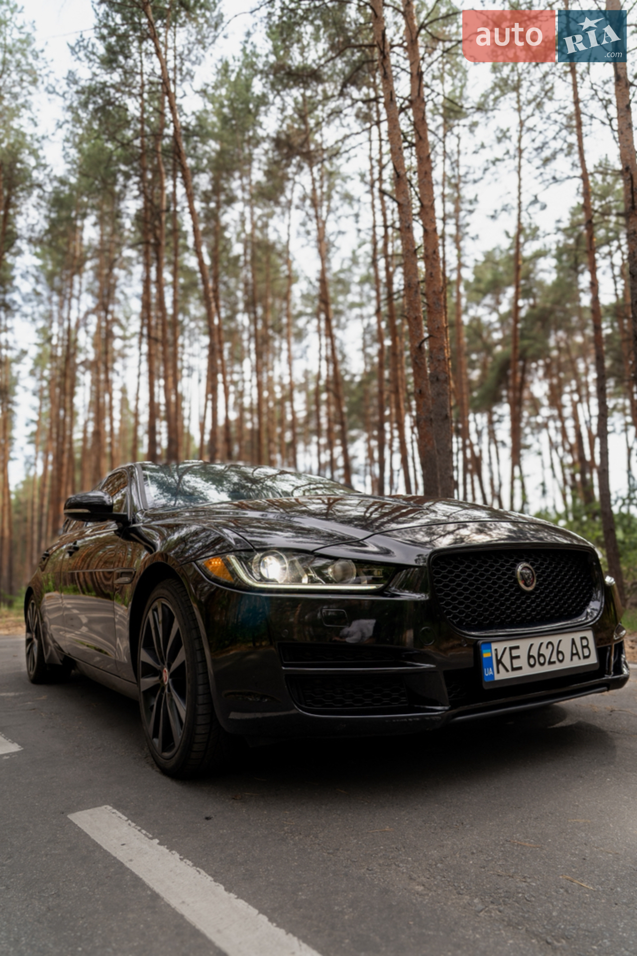 2016 Jaguar XE - мініатюра 6