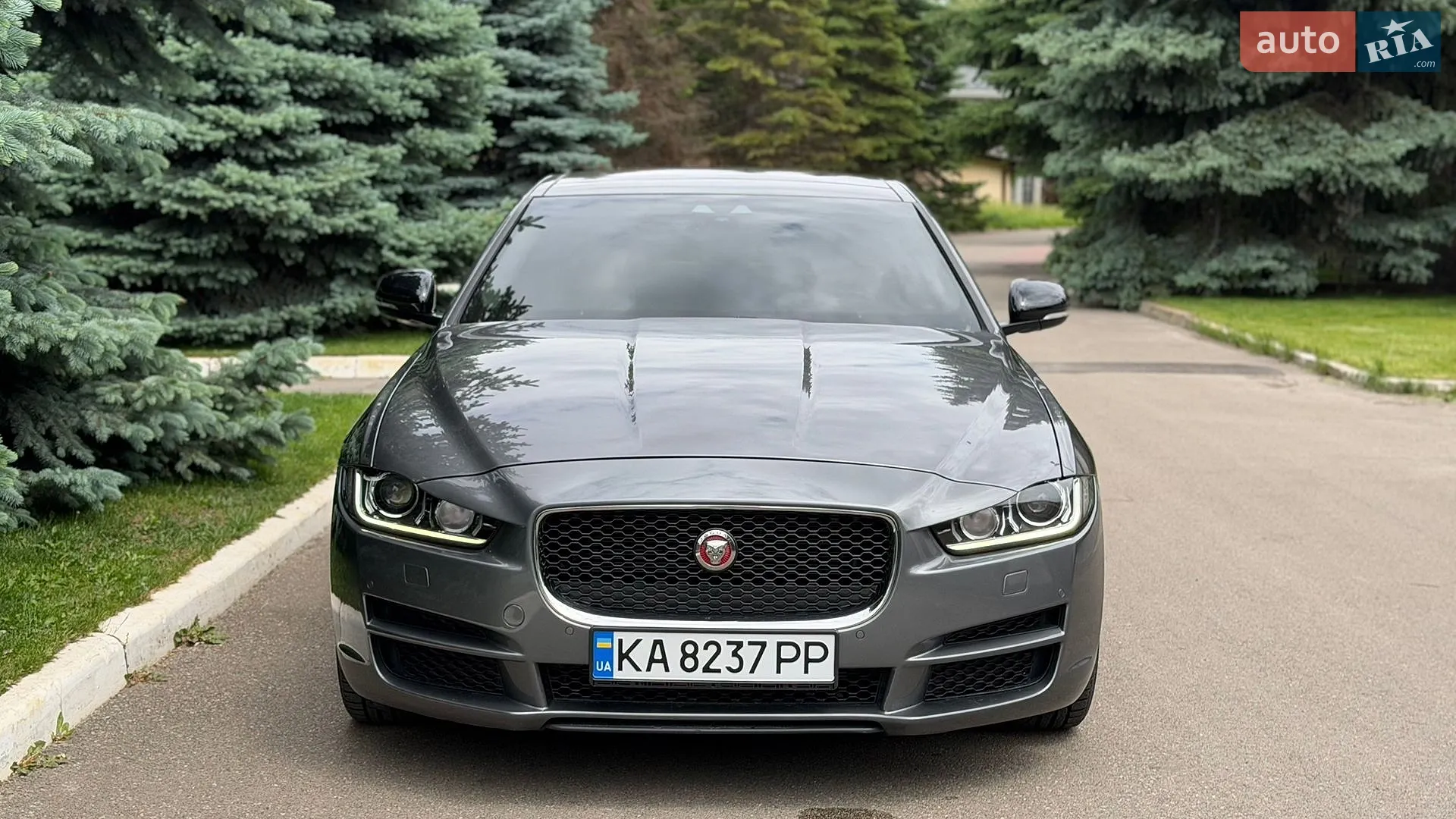 2016 Jaguar XE - мініатюра 11