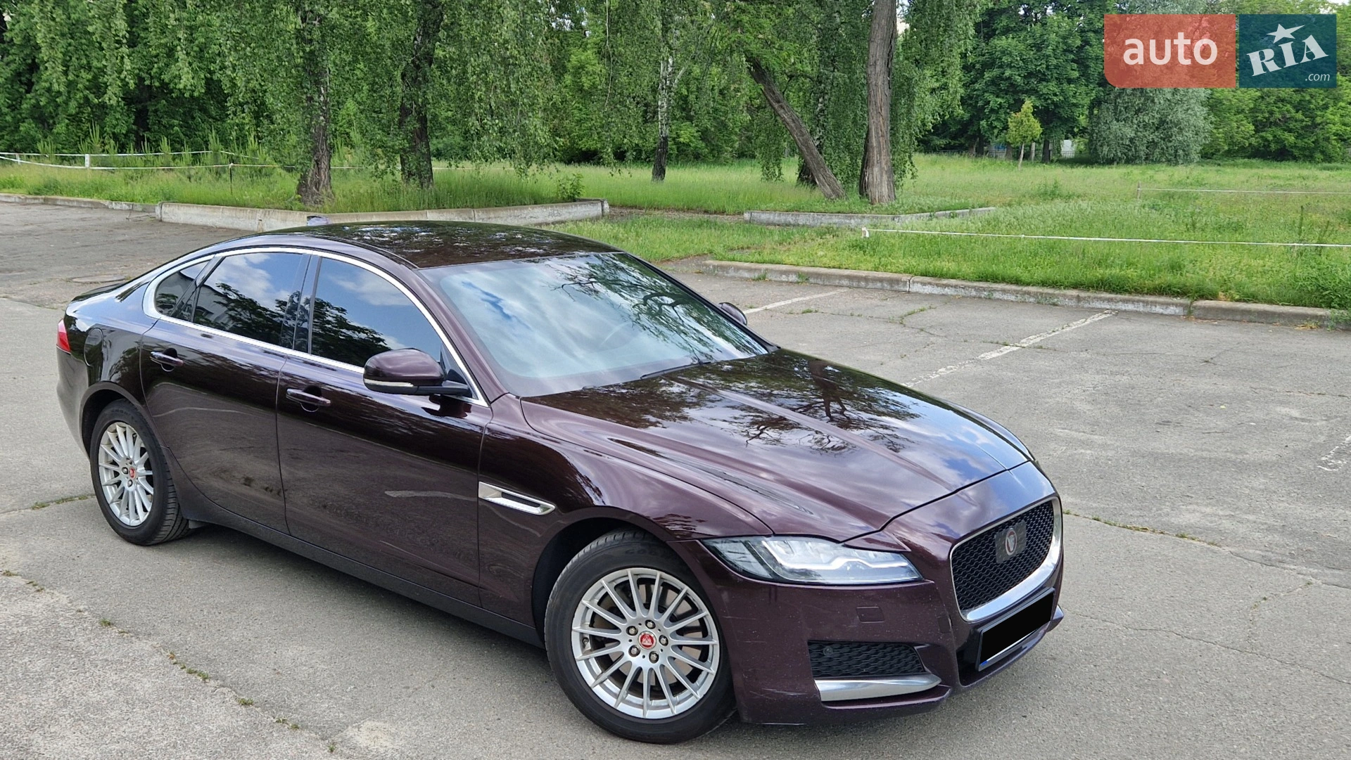 Фото авто 4
