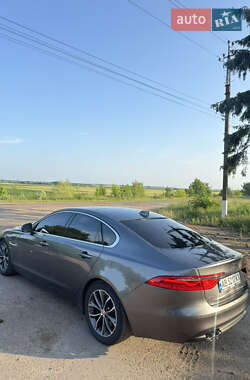 Седан Jaguar XF 2016 в 