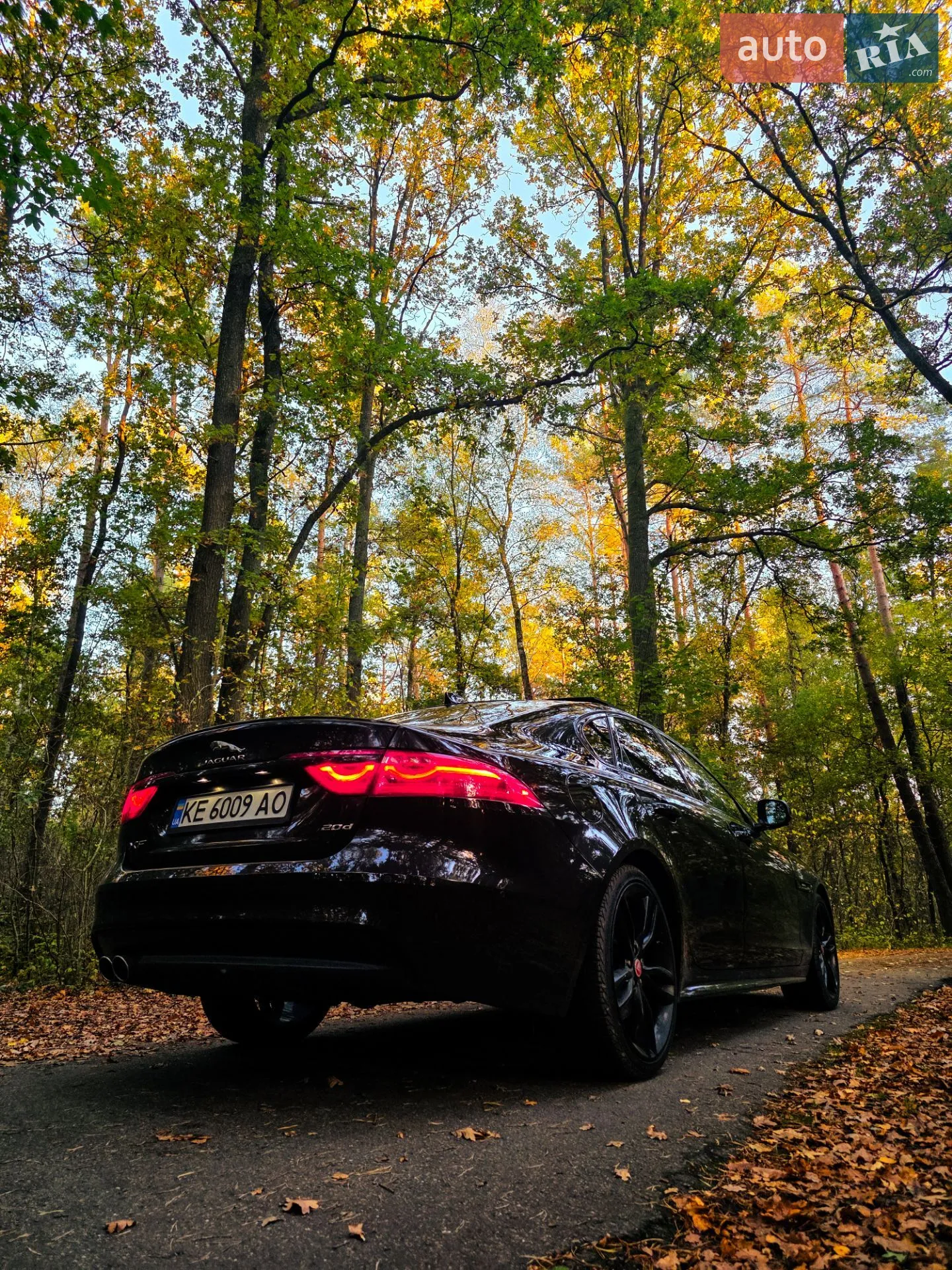 2016 Jaguar XF - мініатюра 6