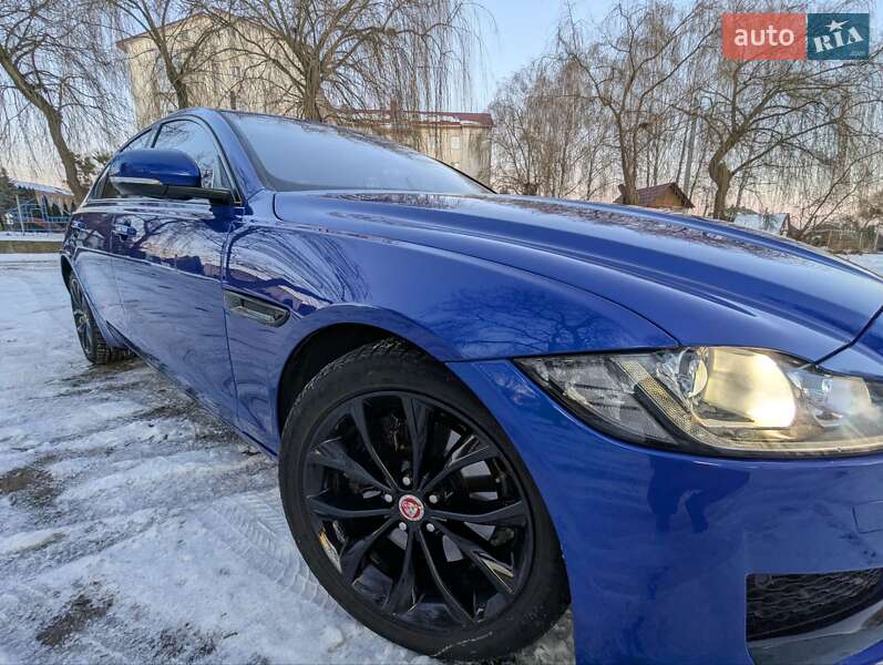 Седан Jaguar XF 2016 в Млинове фото 73 Седан Jaguar XF 2016 в Млинове