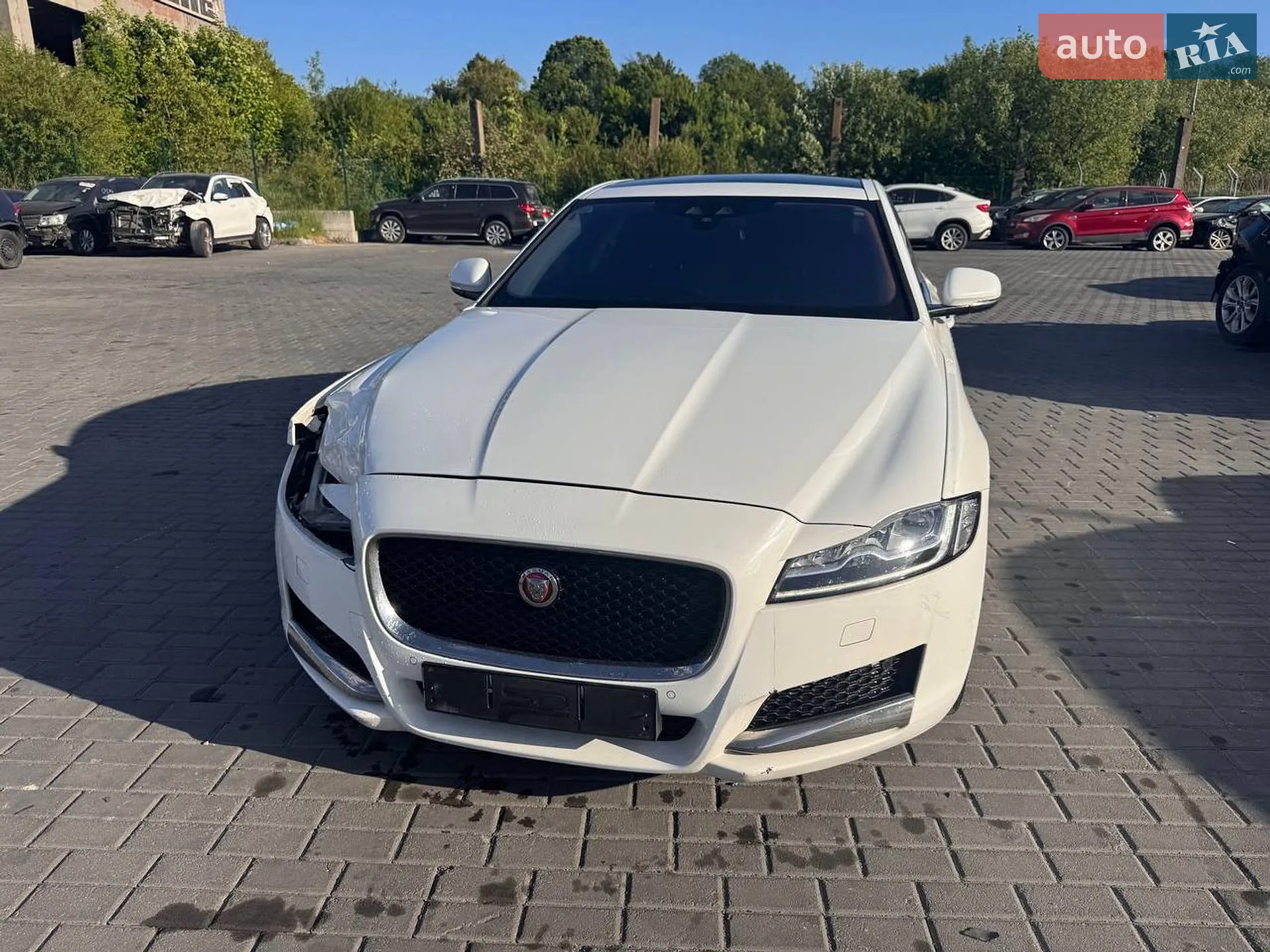 2016 Jaguar XF - мініатюра 2