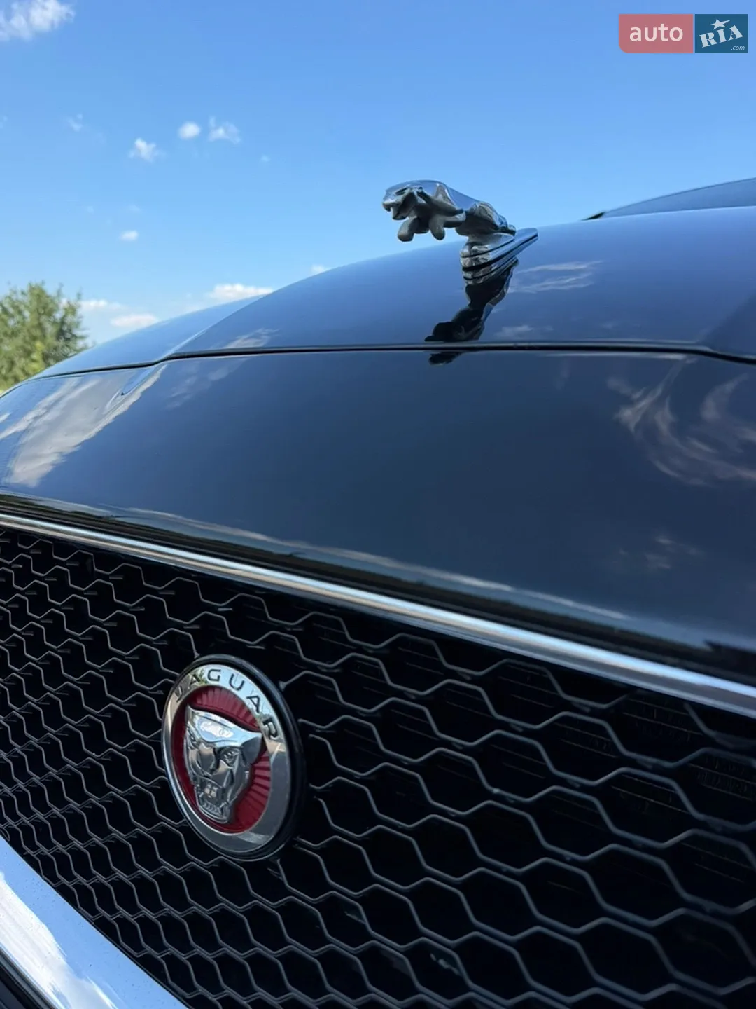 2016 Jaguar XF - мініатюра 9