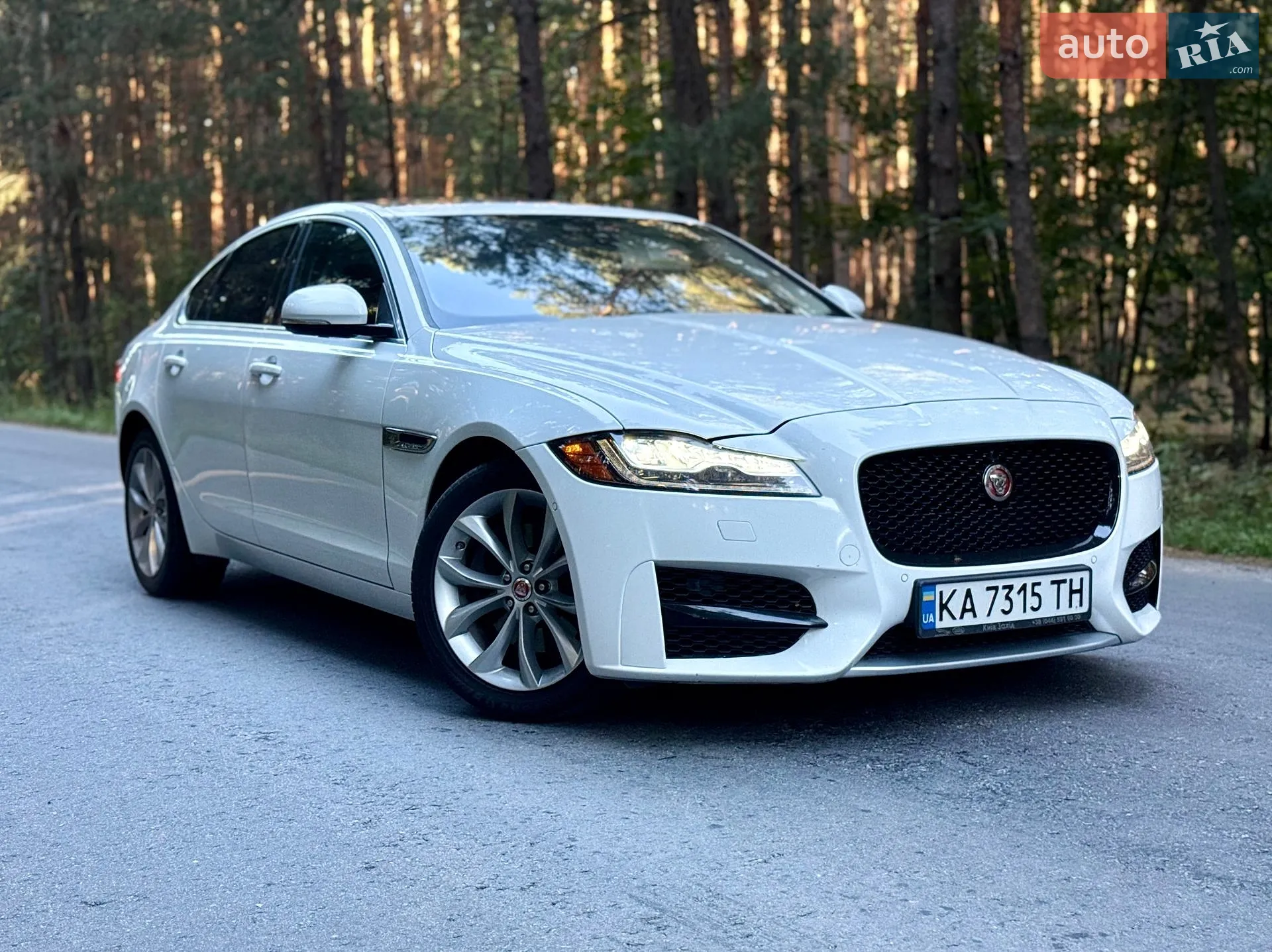 2016 Jaguar XF - мініатюра 2