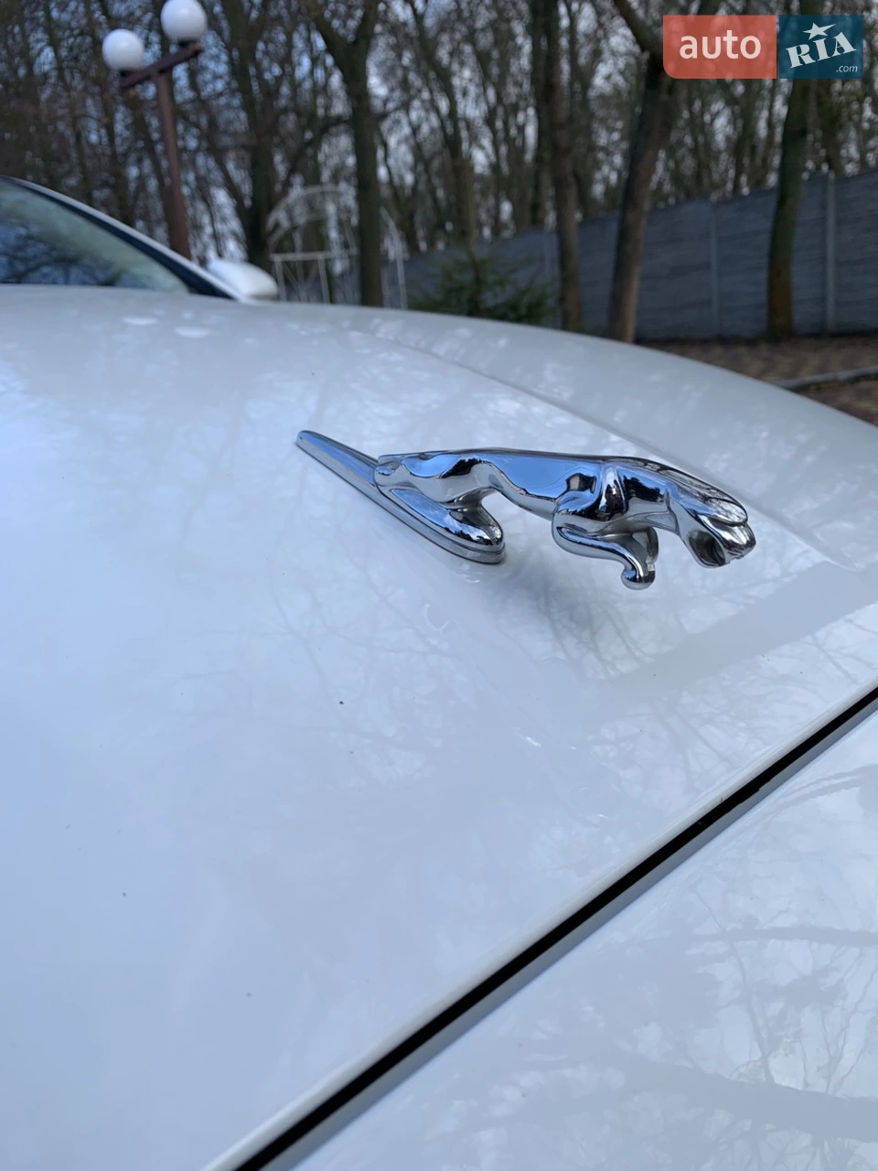 2012 Jaguar XJ - мініатюра 8