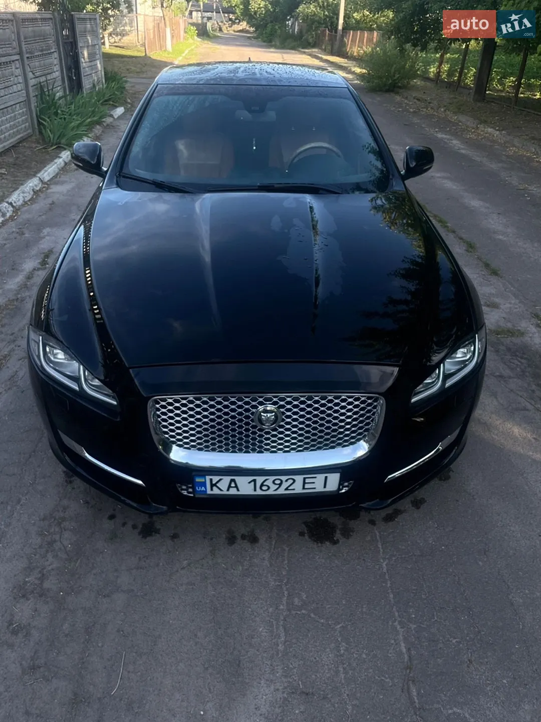 2012 Jaguar XJ - мініатюра 6