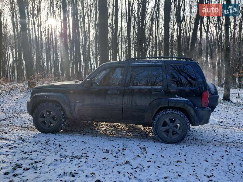 Внедорожник / Кроссовер Jeep Cherokee 2001 в Калуше фото 6 Внедорожник / Кроссовер Jeep Cherokee 2001 в Калуше