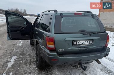 Позашляховик / Кросовер Jeep Cherokee 2005 в Недригайліву