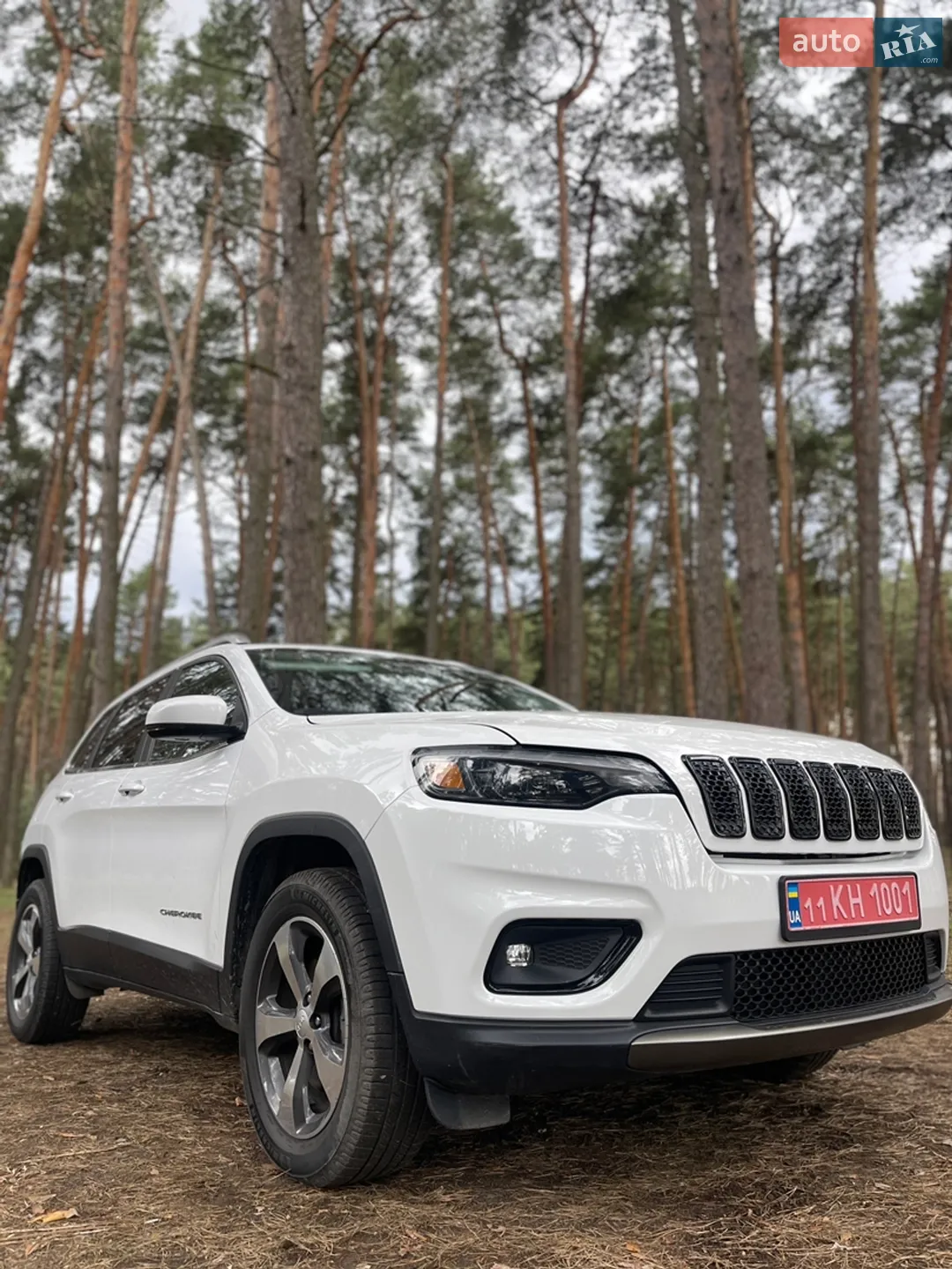 2019 Jeep Cherokee - мініатюра 6