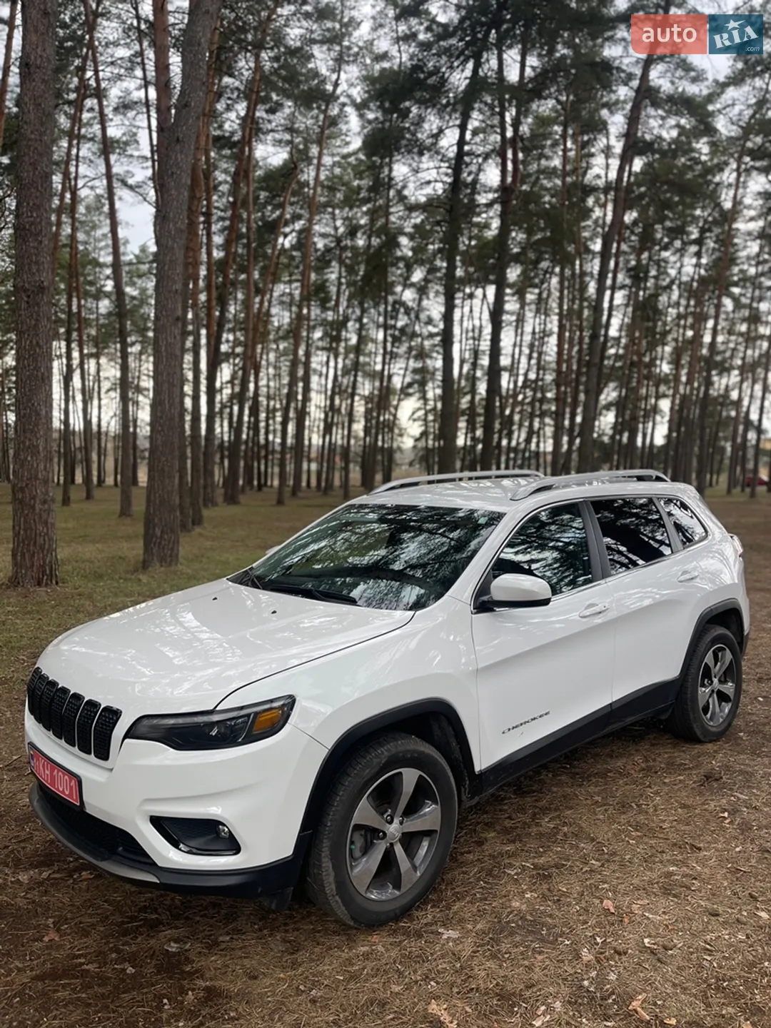 2019 Jeep Cherokee - мініатюра 12