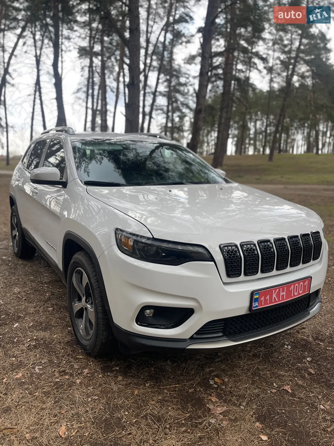 2019 Jeep Cherokee - мініатюра 24