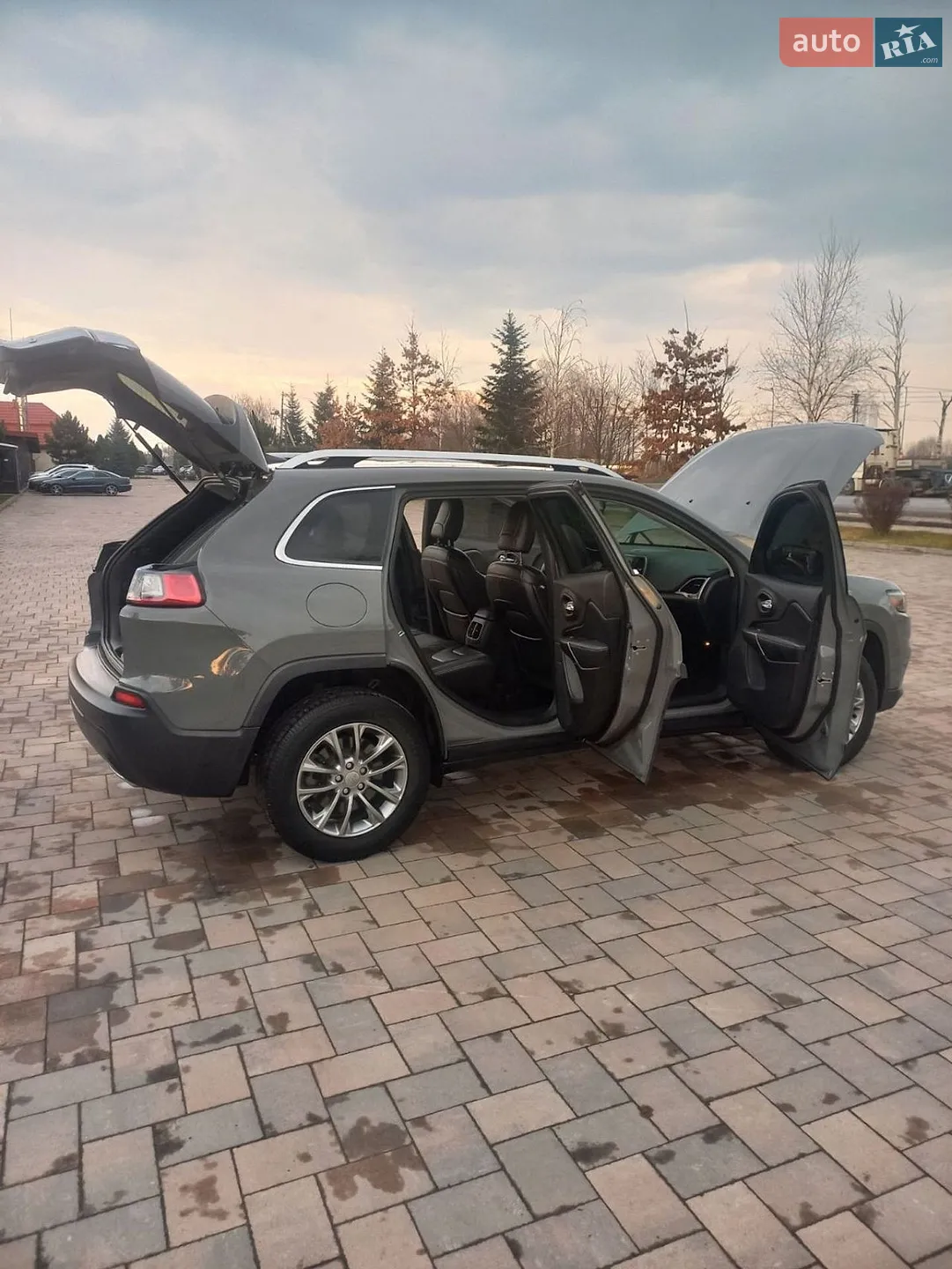 2019 Jeep Cherokee - мініатюра 41