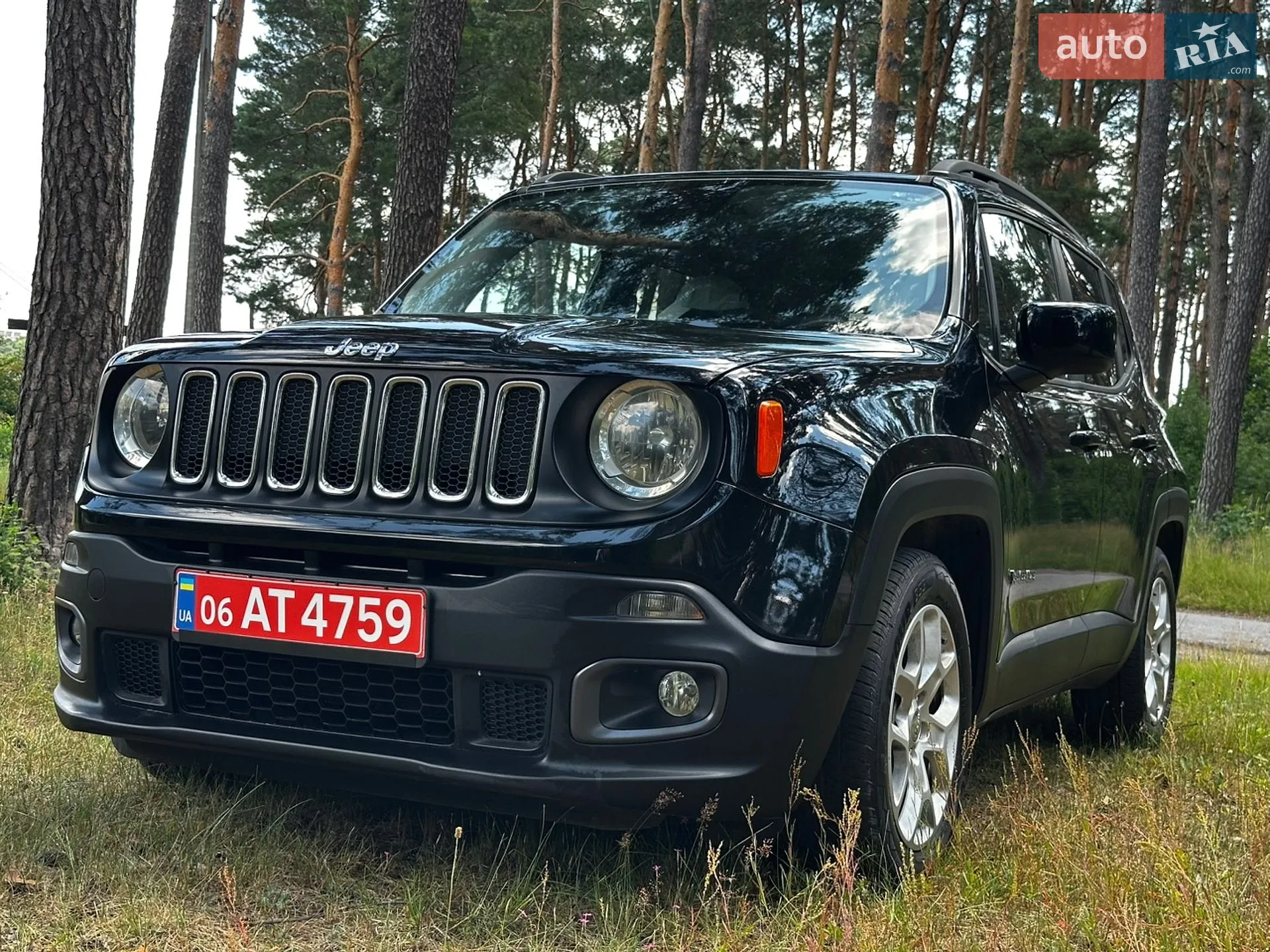 2016 Jeep Renegade - мініатюра 13