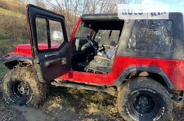 Внедорожник / Кроссовер Jeep Wrangler 2000 в Ужгороде