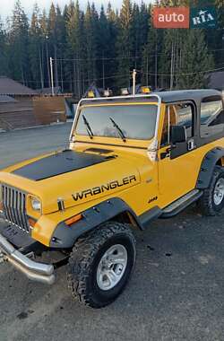 Внедорожник / Кроссовер Jeep Wrangler 1994 в Косове