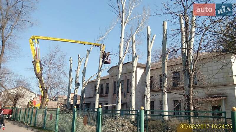 Інші вантажівки КамАЗ 53213 1991 в Кривому Розі