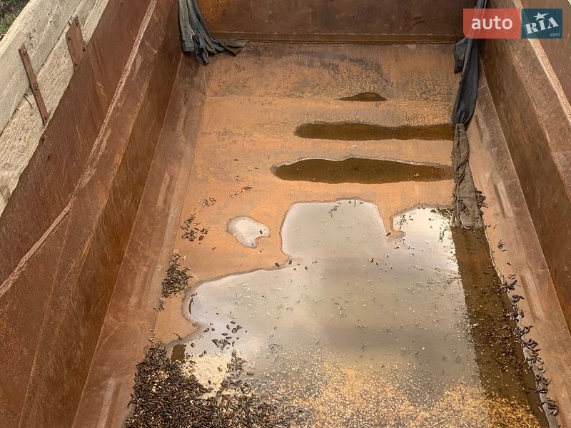 Самоскид КамАЗ 5511 1988 в Абазівці