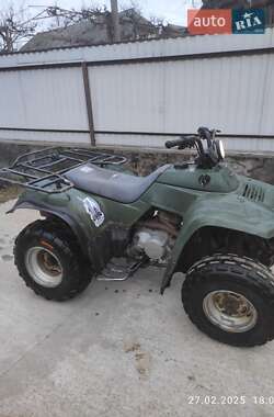 Квадроцикл утилітарний Kawasaki 250 2007 в 