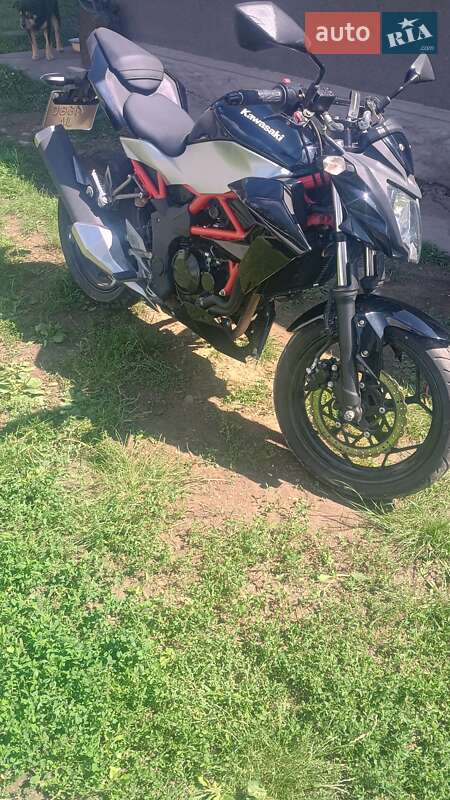 Мотоцикл Без обтікачів (Naked bike) Kawasaki 250 2018 в Чернівцях