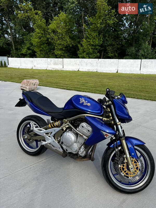 Kawasaki ER-6N 2006