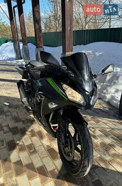 Спортбайк Kawasaki EX 300 2014 в 