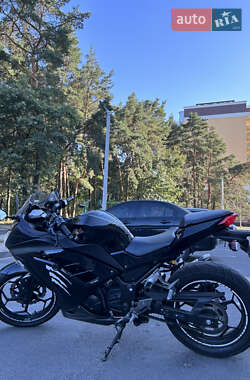 Спортбайк Kawasaki EX 300 2013 в 
